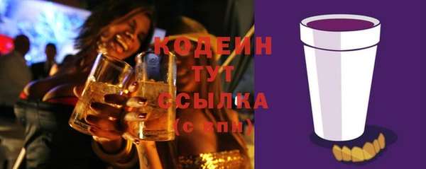 молекула духа Нязепетровск