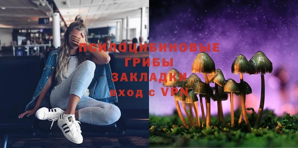 молекула духа Нязепетровск