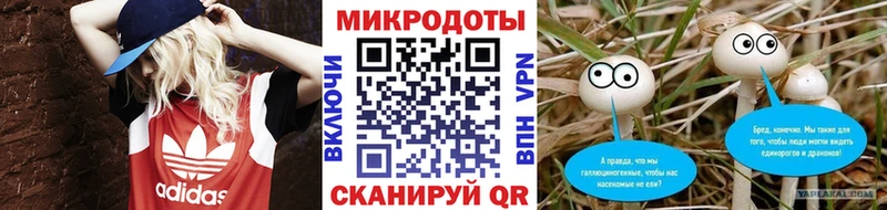 Псилоцибиновые грибы Psilocybe  Цимлянск 